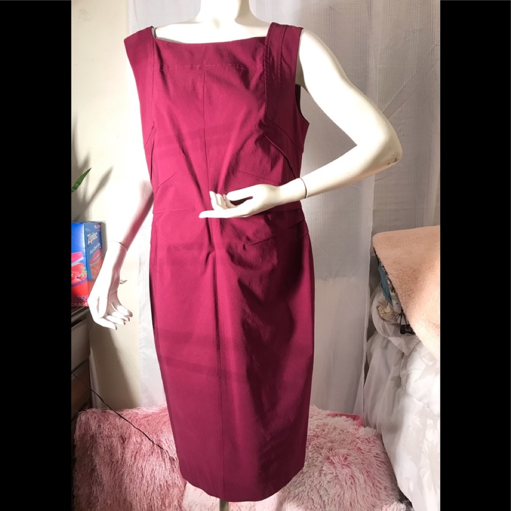 ADRIANA PAPELL BEAUTIFUL DRESS 👗